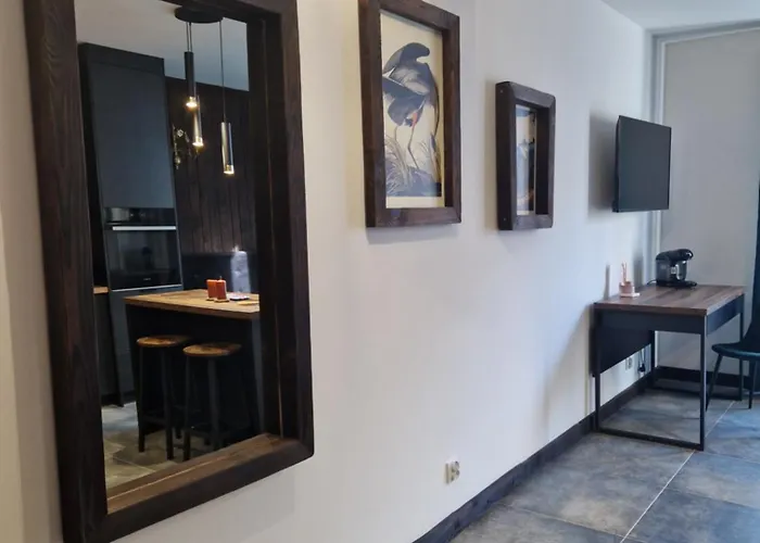 Lägenhet Vintage Przy Orlej